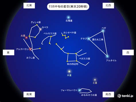 11月28號是什麼星座|星座11月28 